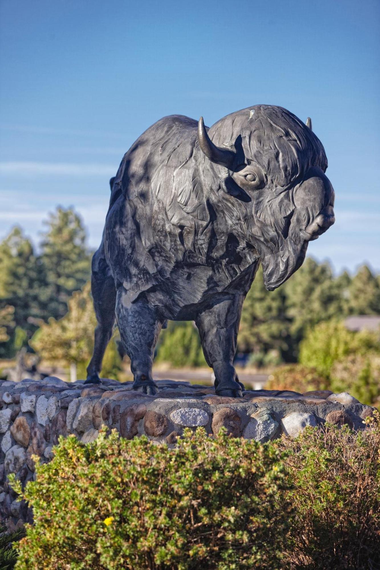 Worldmark Bison Ranch Overgaard Exterior photo